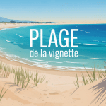 Vue panoramique plage de la vignette avec sable doré et pinède