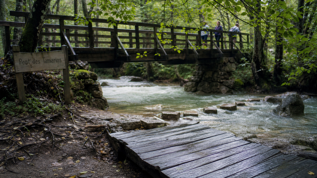 pont des tamarins, sentier ombragé sur la Brague
