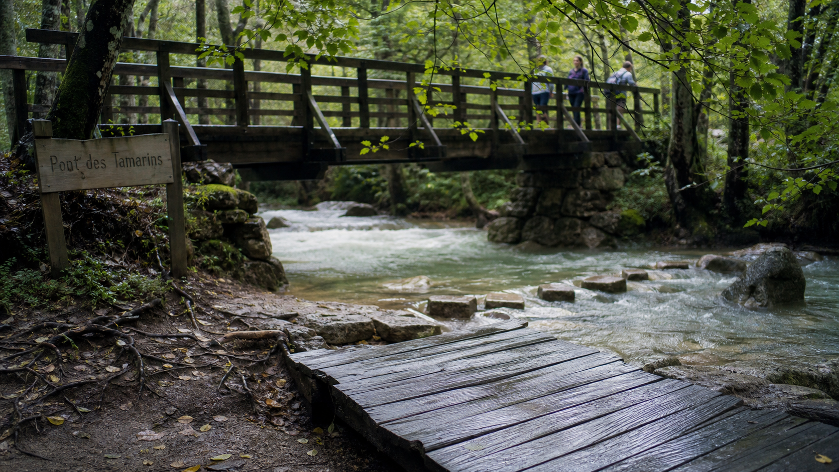 pont des tamarins, sentier ombragé sur la Brague